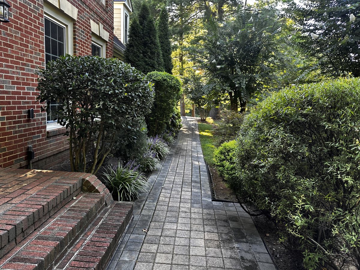 Brick walkway lined with landscaping leading to the building entrance