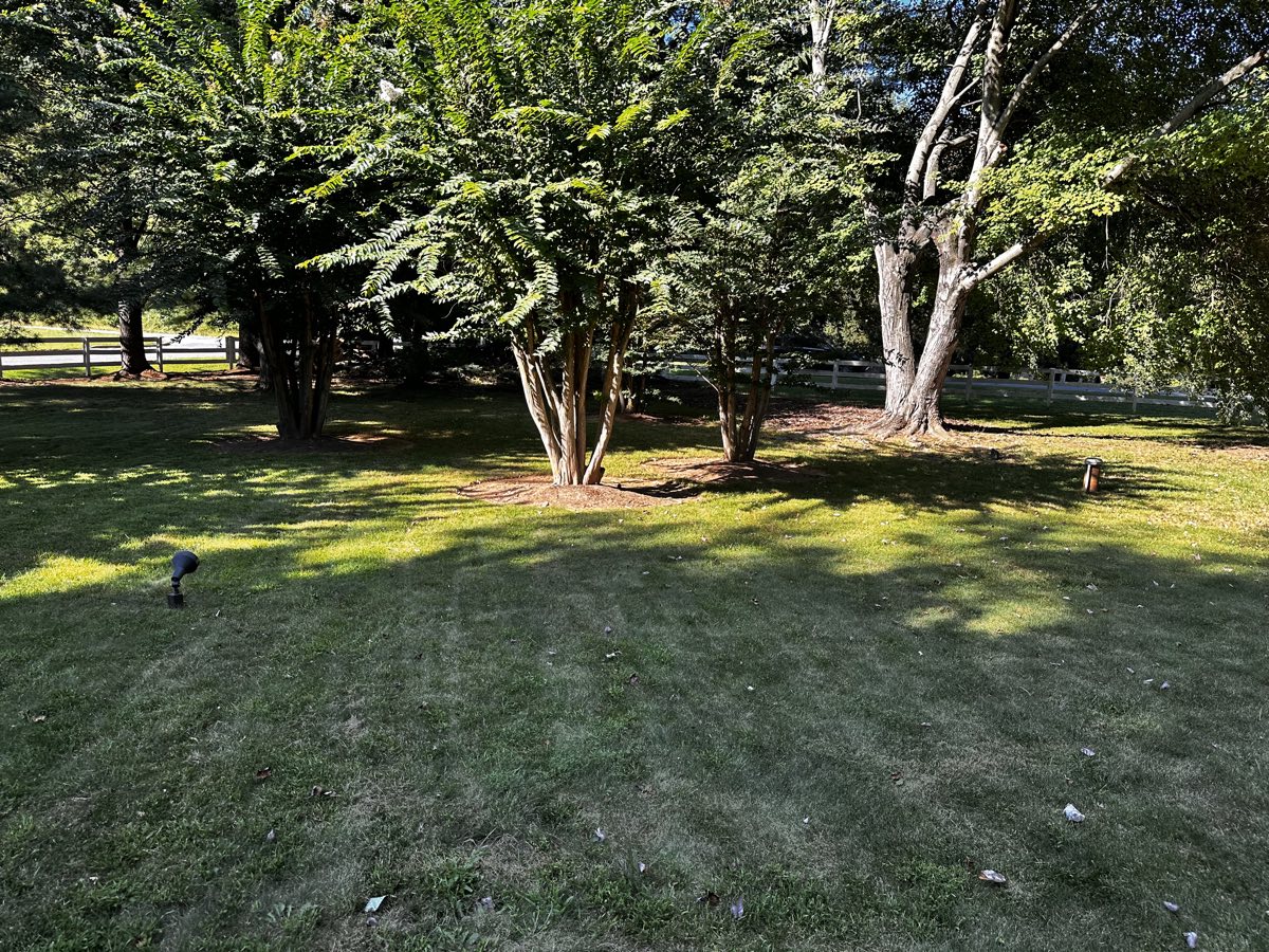 Spacious shaded lawn with mature trees on the NEPEMA campus