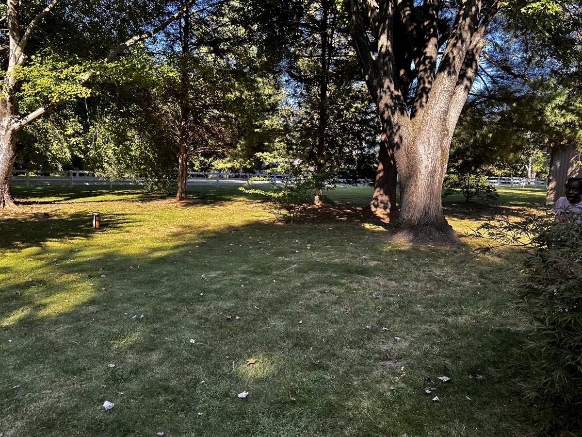 Backyard lawn bordered by a white fence and trees